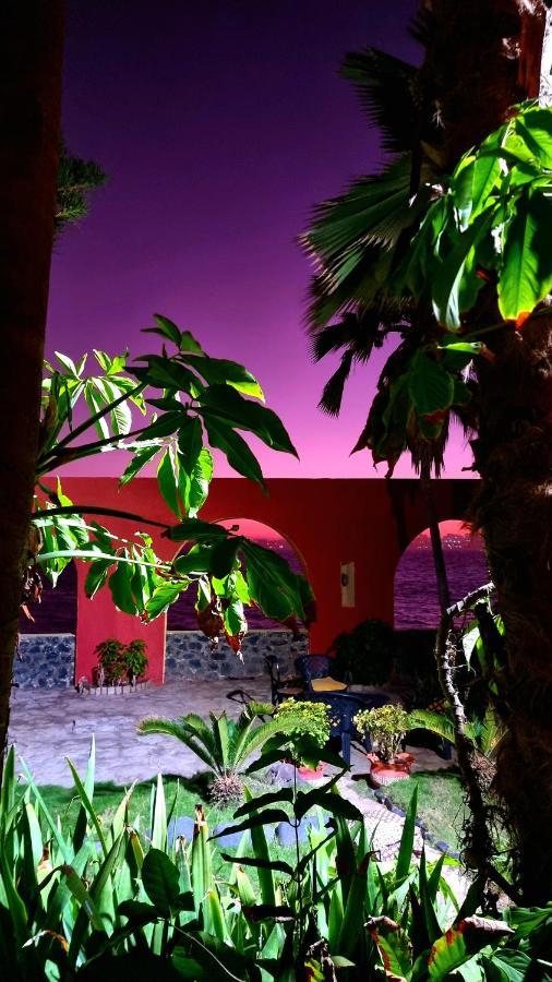 مبيت وإفطار Gorée Chez Coumbis المظهر الخارجي الصورة