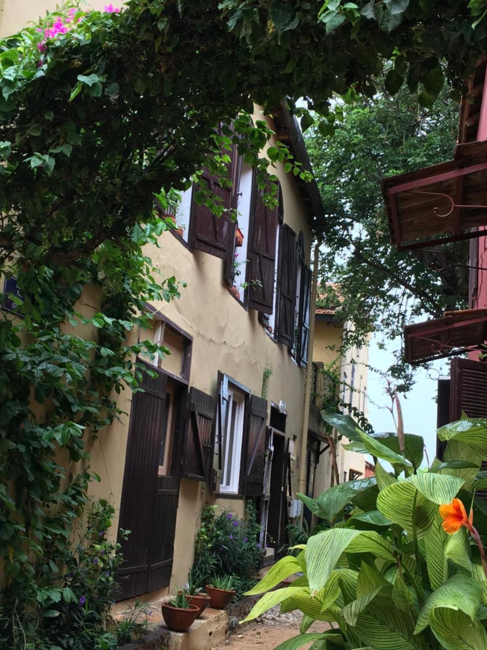 مبيت وإفطار Gorée Chez Coumbis المظهر الخارجي الصورة
